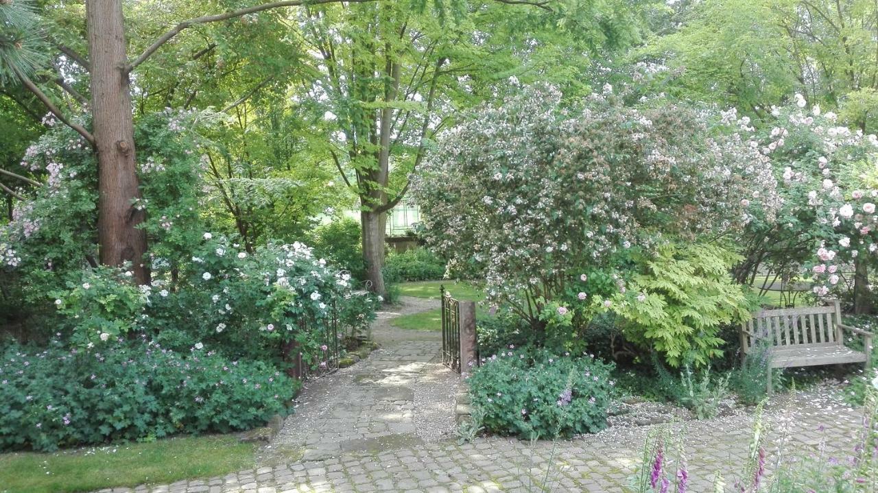 Gite La Cour Anglaise Plobsheim Exteriér fotografie
